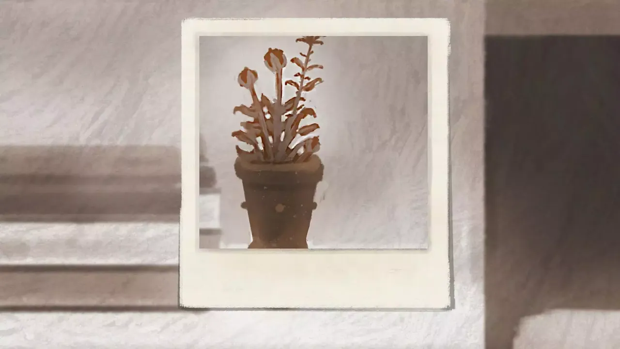 -Flowers, photos and pills-游戏截图-好玩游戏库