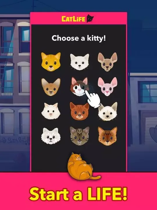 -CatLife - BitLife Cat Game-游戏截图-好玩游戏库