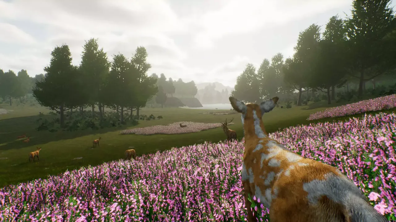 -Deer Journey-游戏截图-好玩游戏库
