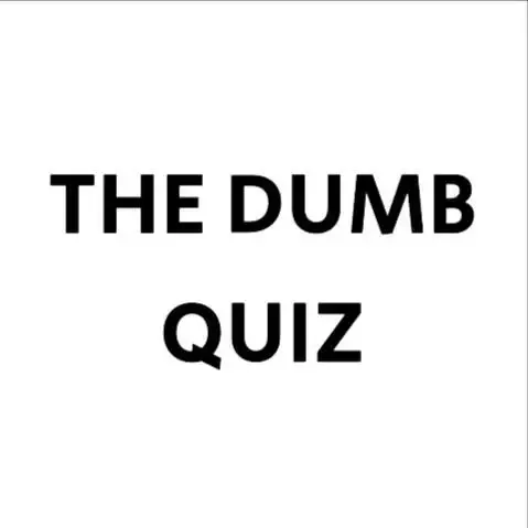 -The Dumb Quiz-游戏截图-好玩游戏库