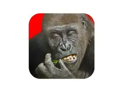 -Flying gorilla 3d-游戏截图-好玩游戏库