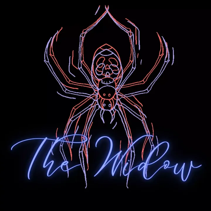 -The Widow-游戏截图-好玩游戏库
