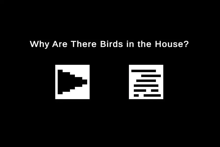-Birds in the House-游戏截图-好玩游戏库