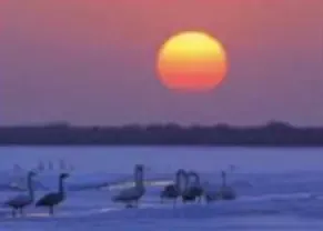 -What a day (mangoeagar)-游戏截图-好玩游戏库