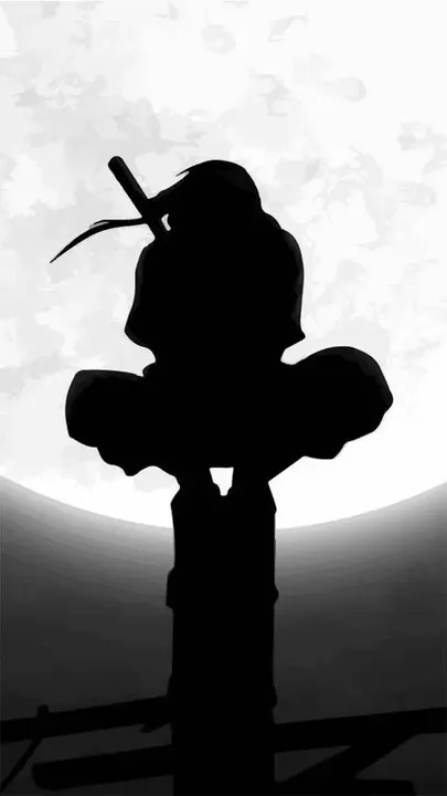 Ninja Ultimate