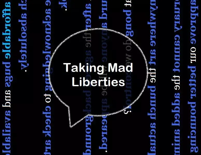 -Taking Mad Liberties-游戏截图-好玩游戏库