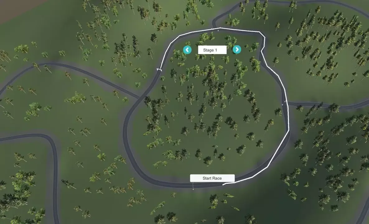 Derp Rally