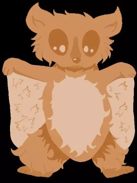 Flying Squirrel
