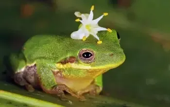 -Swim tadpole!-游戏截图-好玩游戏库