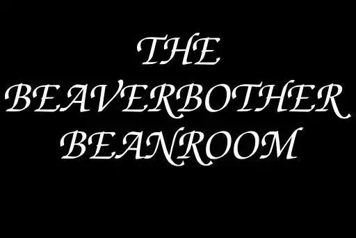 -BeaverBother Beanroom-游戏截图-好玩游戏库