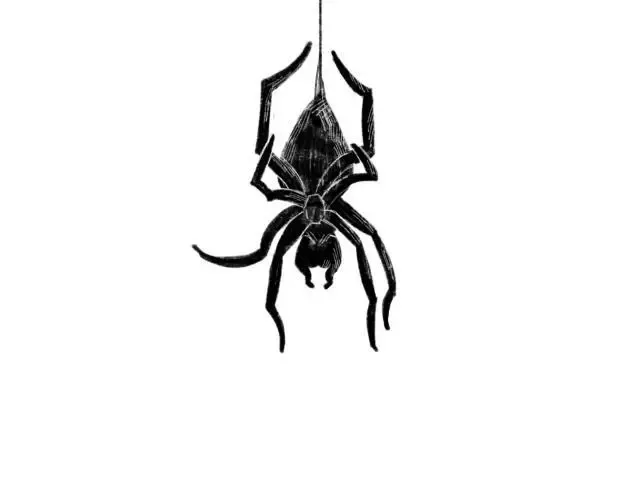 -Arachne (liquidbutterflies)-游戏截图-好玩游戏库