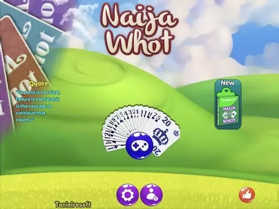 -Naija Whot Pro-游戏截图-好玩游戏库