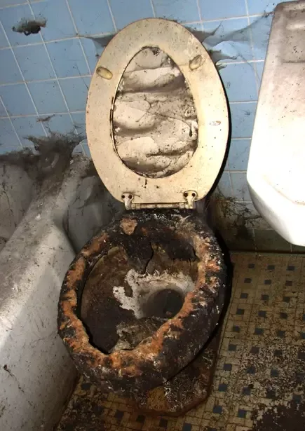 -Toilette-游戏截图-好玩游戏库