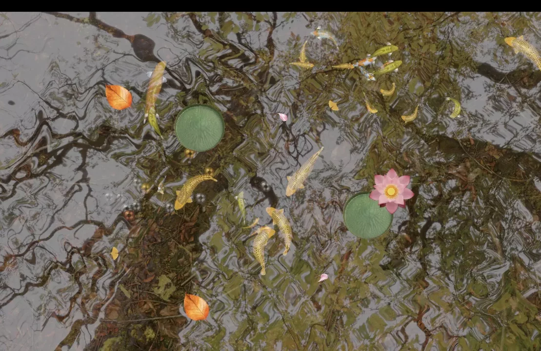 -Tranquil Koi 鯉の池-游戏截图-好玩游戏库