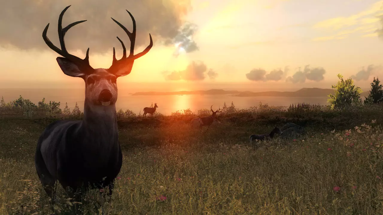 -theHunter-游戏截图-好玩游戏库