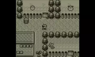 -Pokémon Red, Blue, Yellow-游戏截图-好玩游戏库