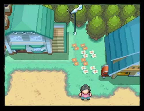 -Pokémon HeartGold, SoulSilver-游戏截图-好玩游戏库