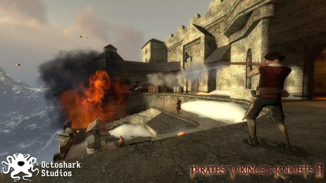 -Pirates, Vikings, and Knights II-游戏截图-好玩游戏库