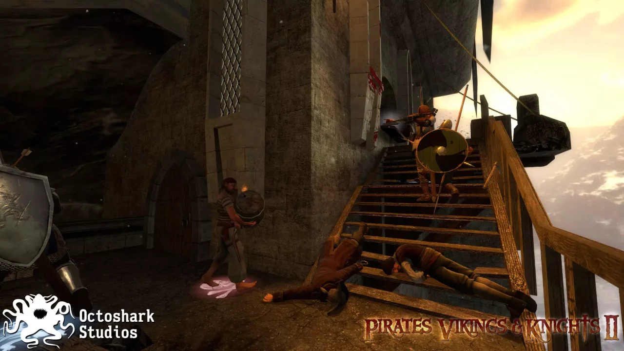 -Pirates, Vikings, and Knights II-游戏截图-好玩游戏库