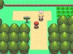 -Pokémon Diamond, Pearl-游戏截图-好玩游戏库