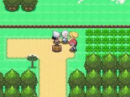 -Pokémon Diamond, Pearl-游戏截图-好玩游戏库