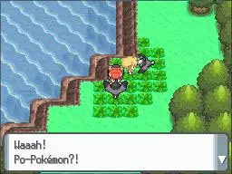 -Pokémon Diamond, Pearl-游戏截图-好玩游戏库