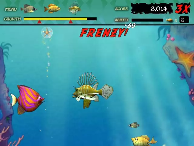 Feeding Frenzy