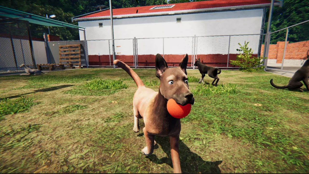 -Animal Shelter: Prologue-游戏截图-好玩游戏库