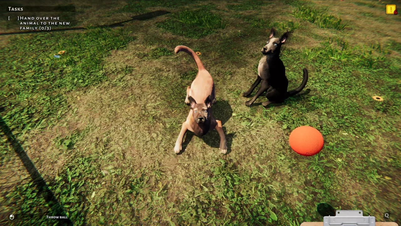 -Animal Shelter: Prologue-游戏截图-好玩游戏库