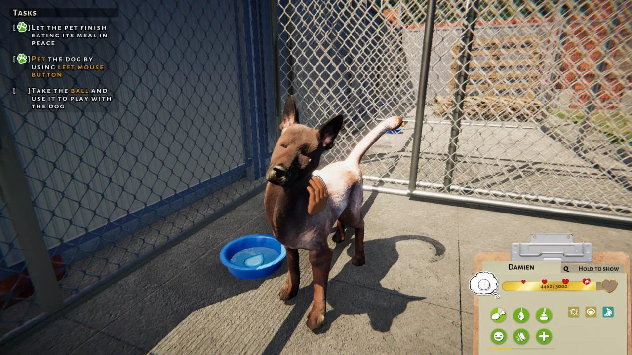 -Animal Shelter: Prologue-游戏截图-好玩游戏库
