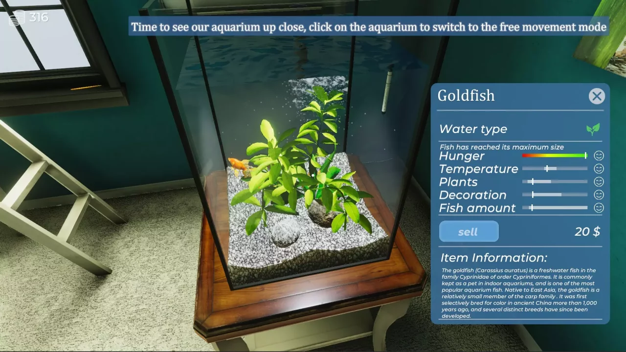-Aquarist - My First Job-游戏截图-好玩游戏库