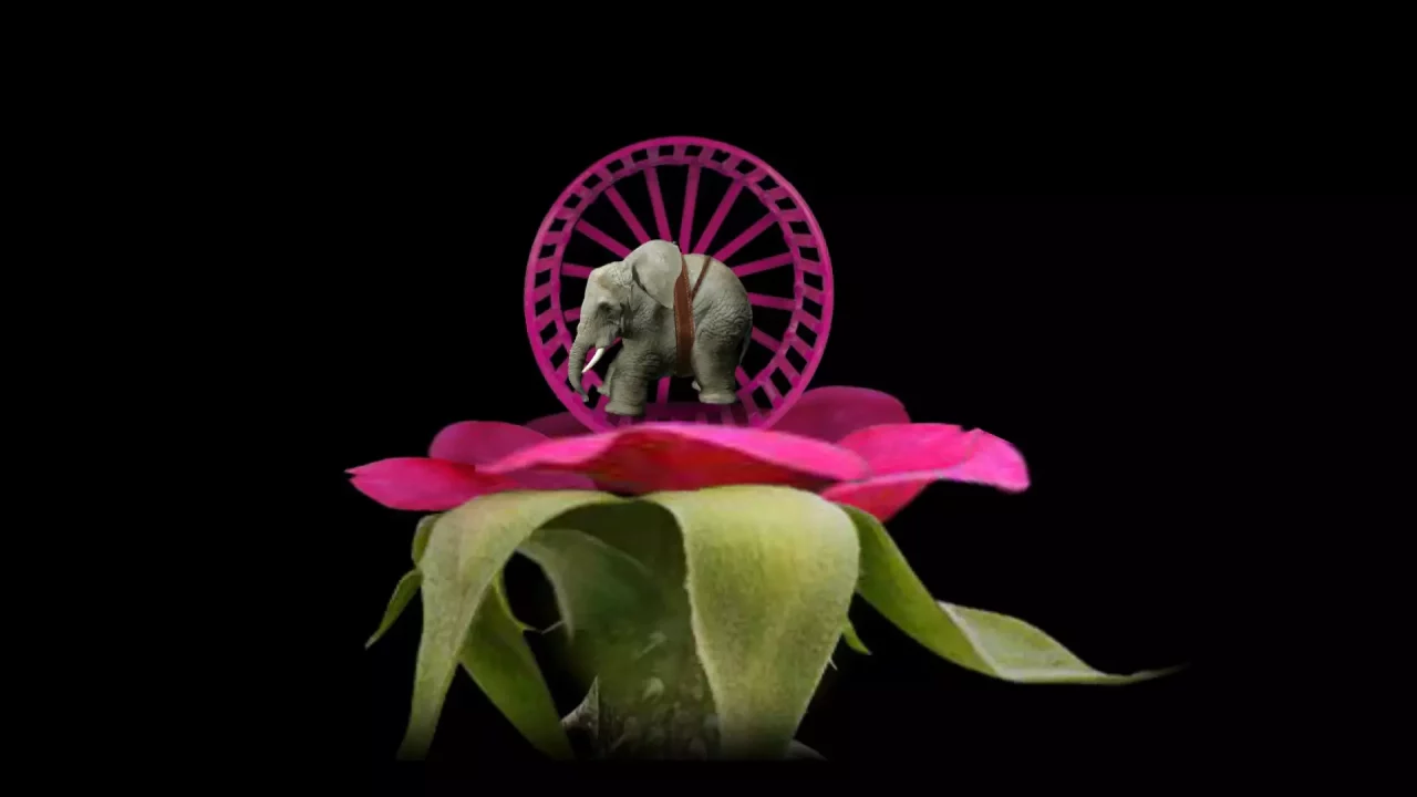 -Mitoza-游戏截图-好玩游戏库