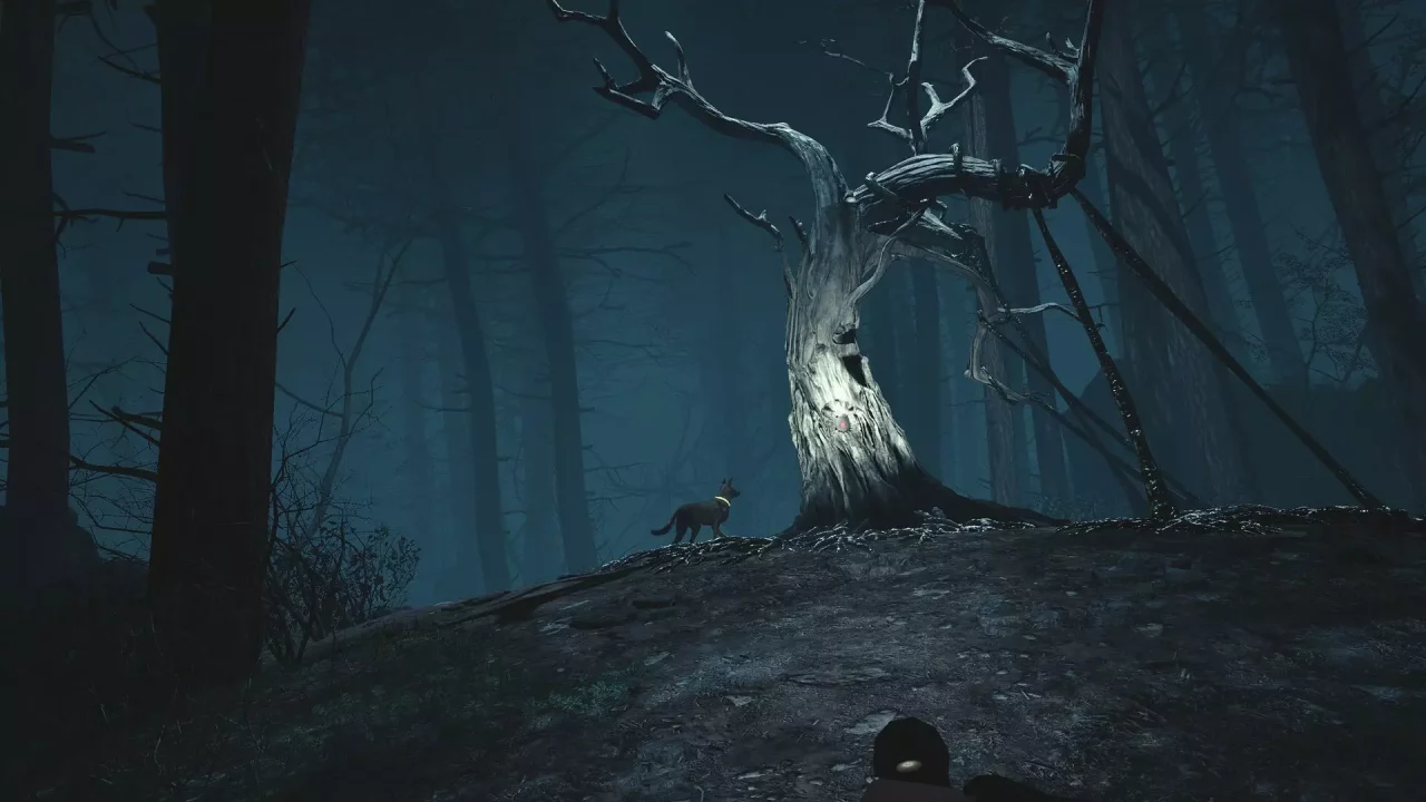 -Blair Witch VR-游戏截图-好玩游戏库