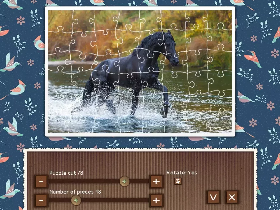 -1001 Jigsaw. Earth Chronicles 9-游戏截图-好玩游戏库