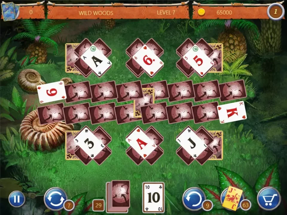 -Solitaire TED and PET-游戏截图-好玩游戏库