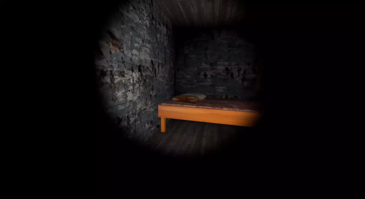 Project Granny VR