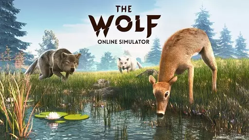 The Wolf