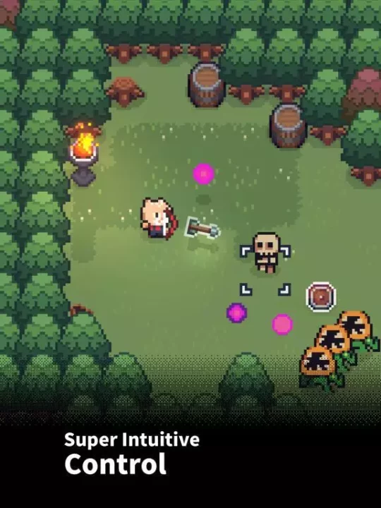-The Way Home: Pixel Roguelike-游戏截图-好玩游戏库
