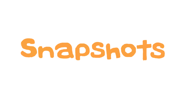 收纳达人 | Snapshots LOGO