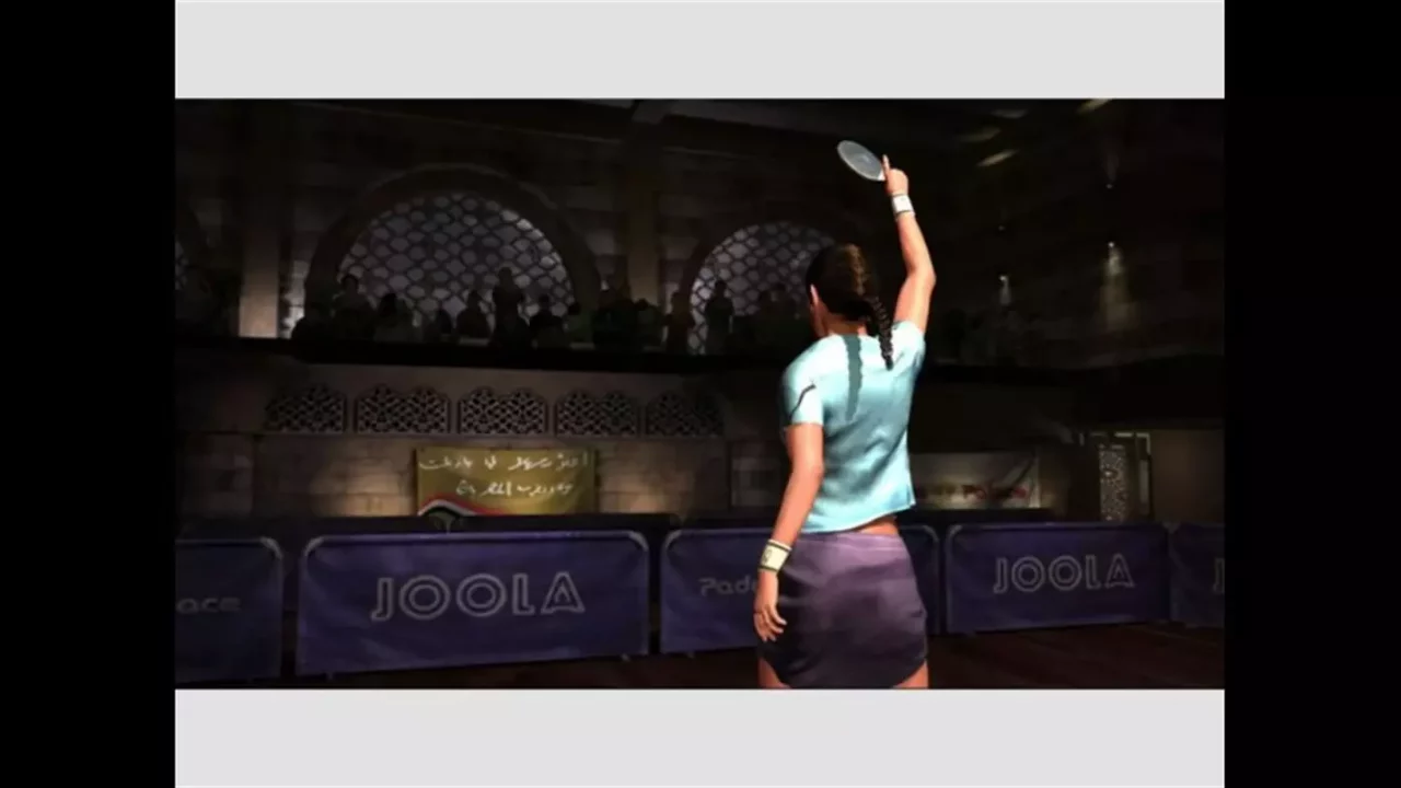-Rockstar Table Tennis-游戏截图-好玩游戏库