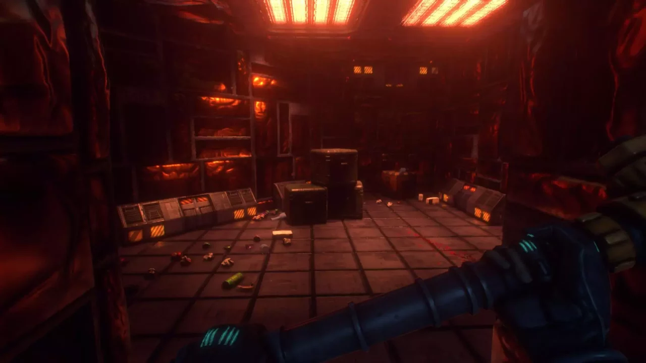 -System Shock Demo-游戏截图-好玩游戏库