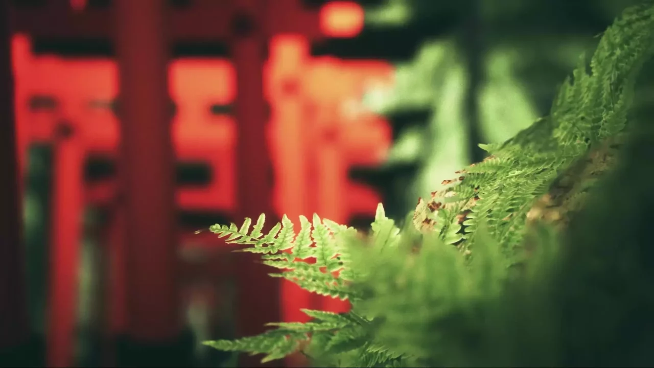 -Explore Fushimi Inari-游戏截图-好玩游戏库