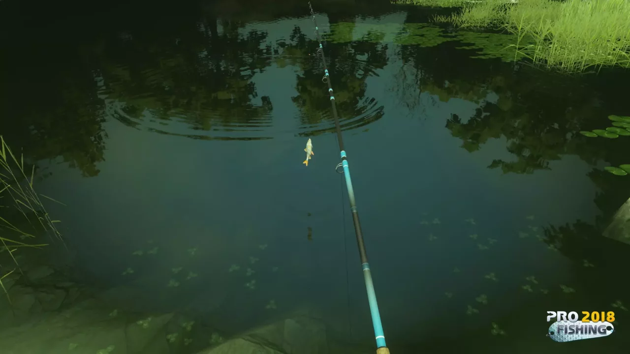 PRO FISHING 2018