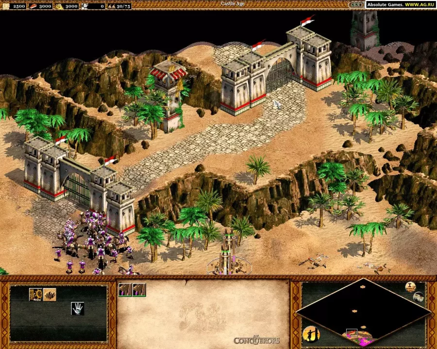 -Age of Empires II: The Conquerors-游戏截图-好玩游戏库