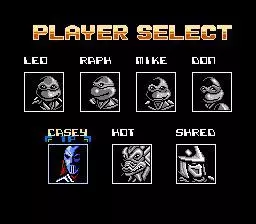 -Teenage Mutant Ninja Turtles: Tournament Fighters-游戏截图-好玩游戏库