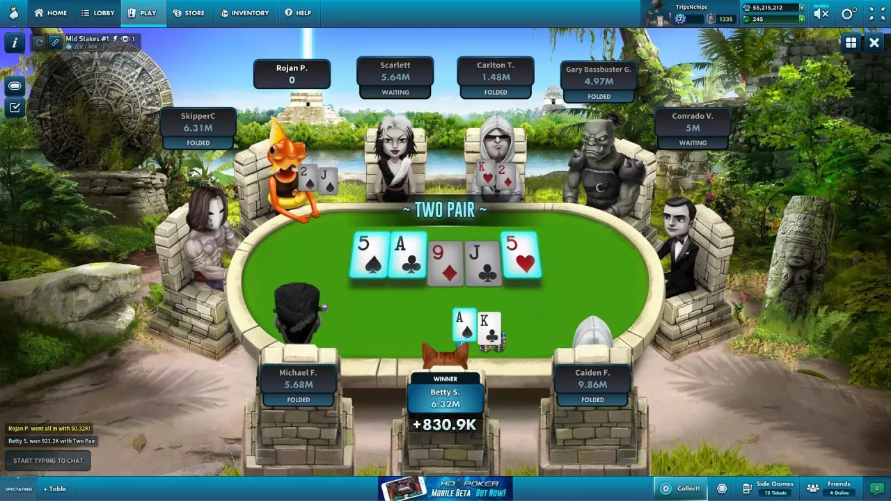 -HD Poker-游戏截图-好玩游戏库