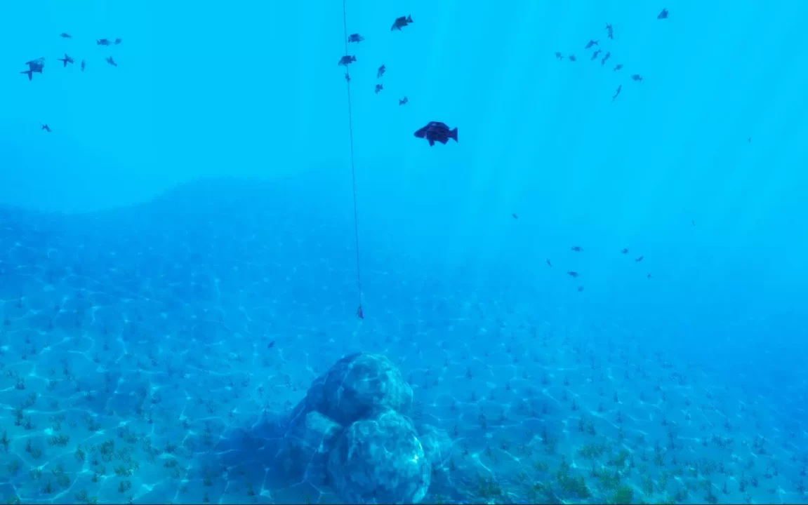 -The Fishing Club 3D-游戏截图-好玩游戏库