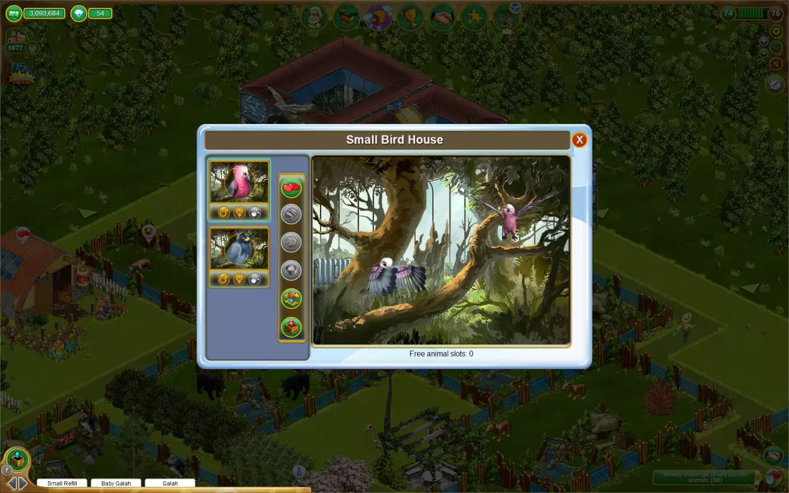 -My Free Zoo-游戏截图-好玩游戏库