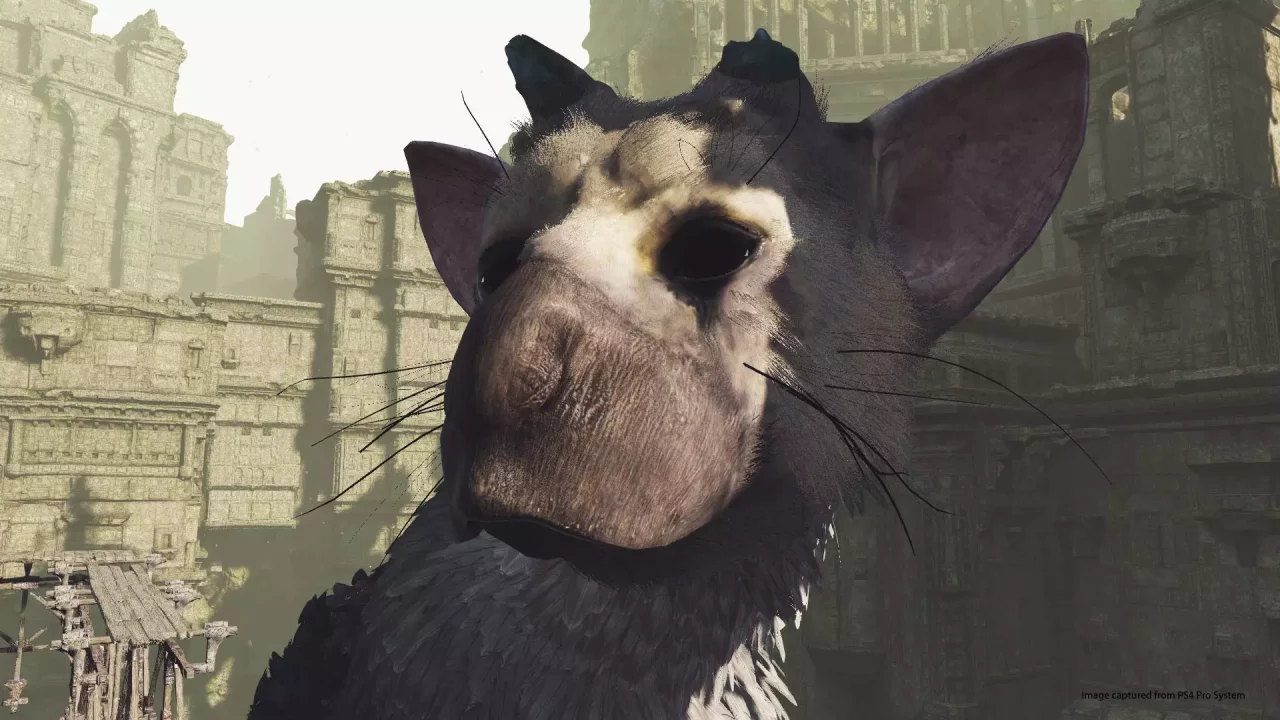 -The Last Guardian VR Demo-游戏截图-好玩游戏库