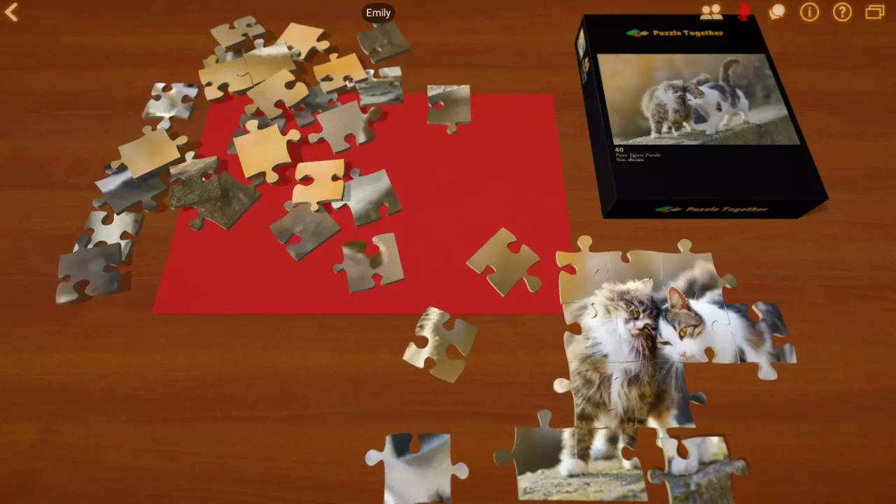 -Puzzle Together-游戏截图-好玩游戏库